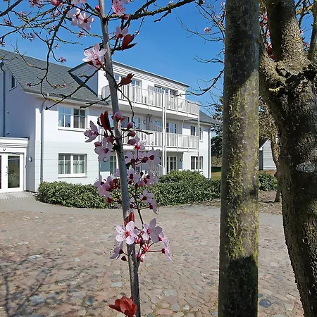 Saatmann Komfort 2 Ahrenshoop